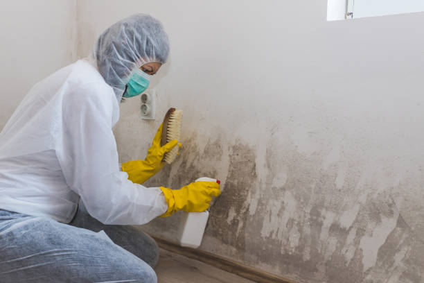 Asbestos and Lead Testing During Mold Inspection in Monroeville, IN